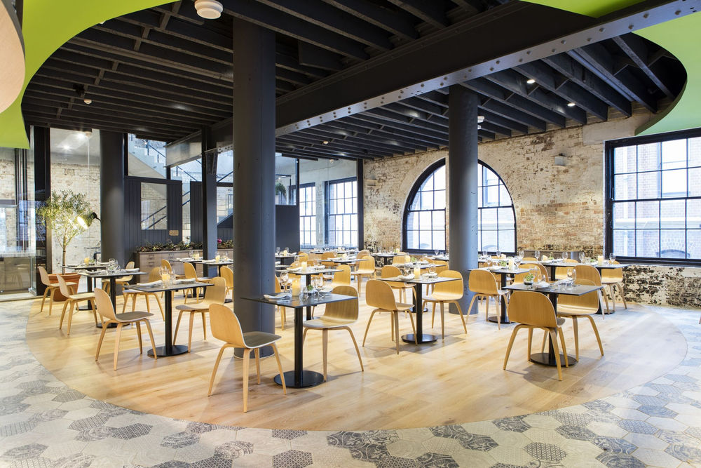 悉尼绿意盎然的新餐厅 | Olio Kensington Street