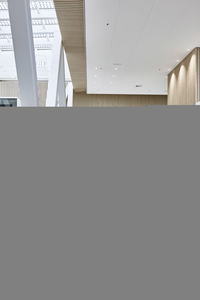 佳能生产印刷总部室内设计，荷兰 / M+R interior architecture