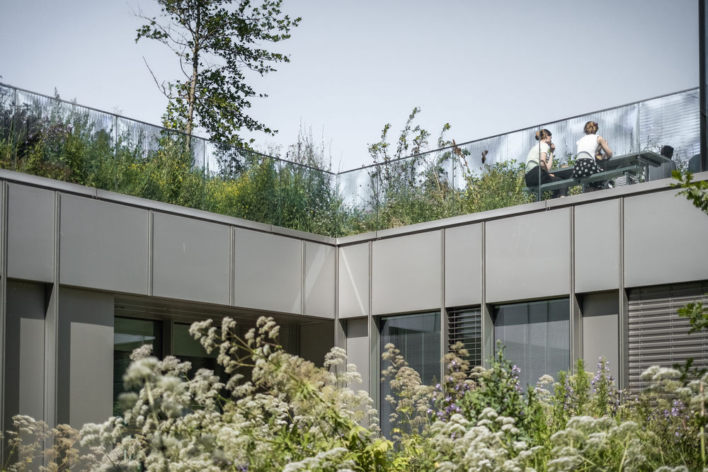 Steno Diabetes Center Copenhagen / Vilhelm Lauritzen Architects + Mikkelsen Architects + STED
