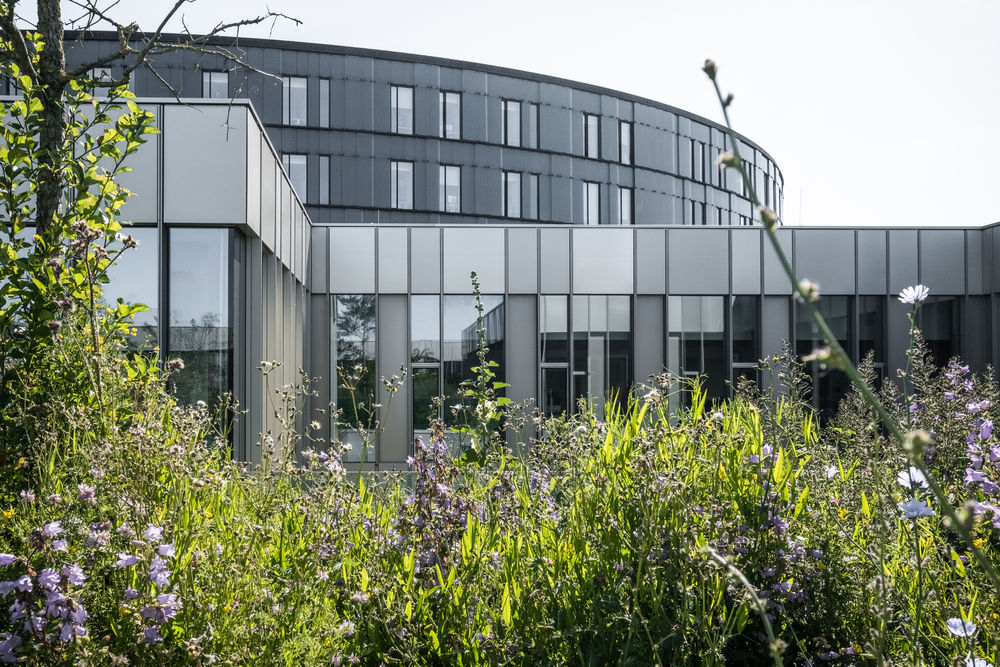 Steno Diabetes Center Copenhagen / Vilhelm Lauritzen Architects + Mikkelsen Architects + STED