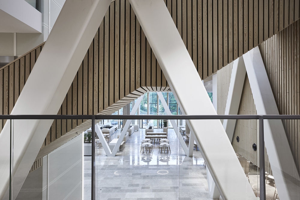 佳能生产印刷总部室内设计，荷兰 / M+R interior architecture