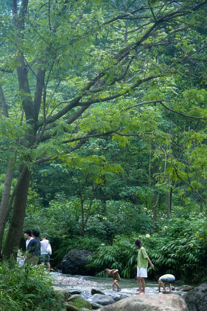 理想乡野：峨眉·高桥小镇 / 深度报道