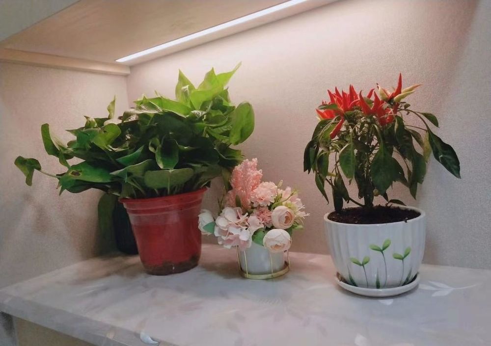翡翠东城复式