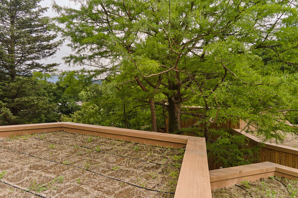 Korea National Arboretum Children's Forest School / GEEUMPLUS