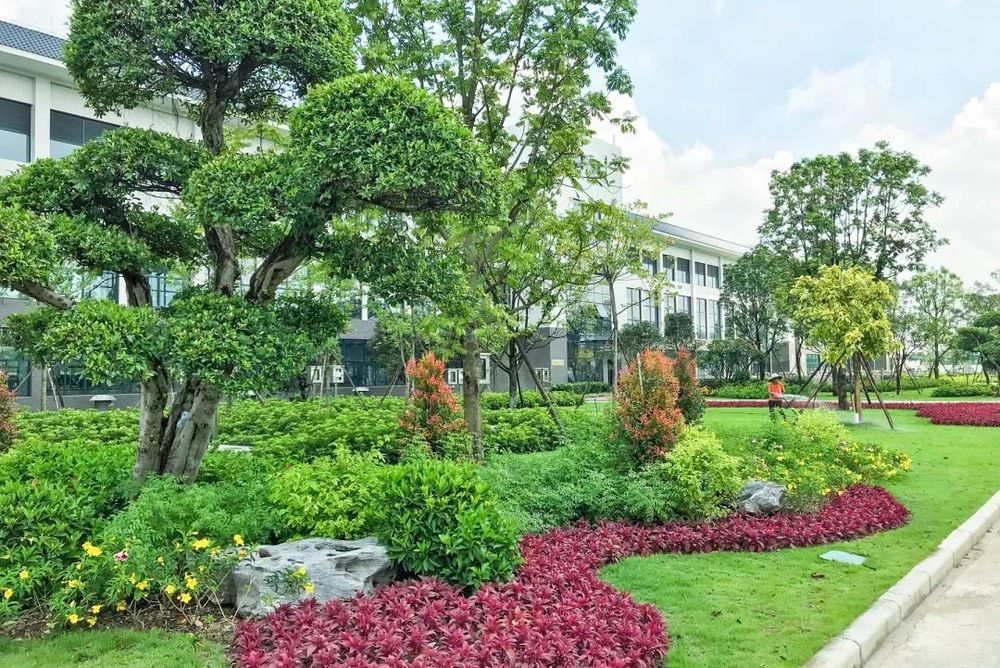 北部水厂 | 现代岭南风格的生态景观