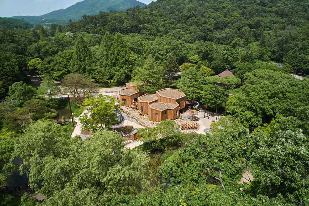 Korea National Arboretum Children's Forest School / GEEUMPLUS