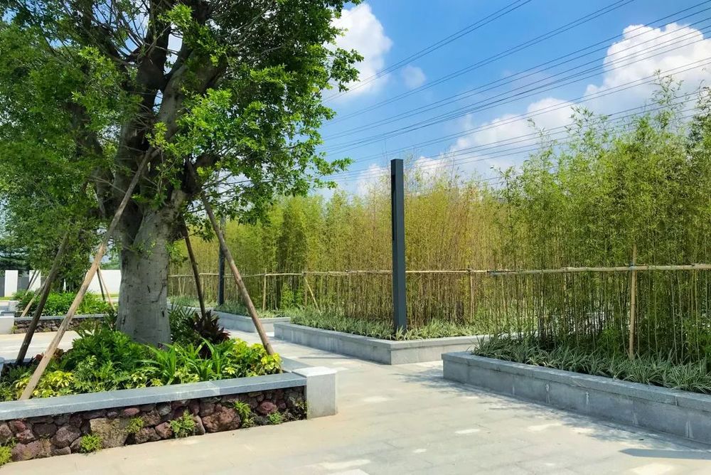 北部水厂 | 现代岭南风格的生态景观