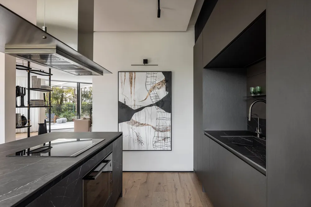 Aesthetic Harmony Residence