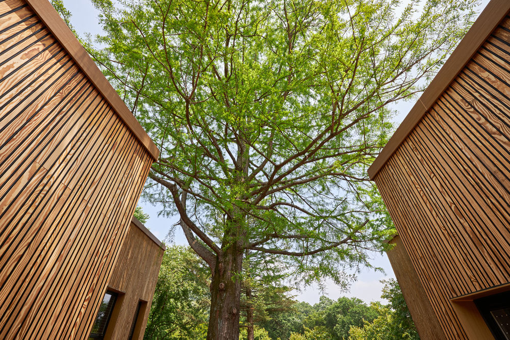 Korea National Arboretum Children's Forest School / GEEUMPLUS