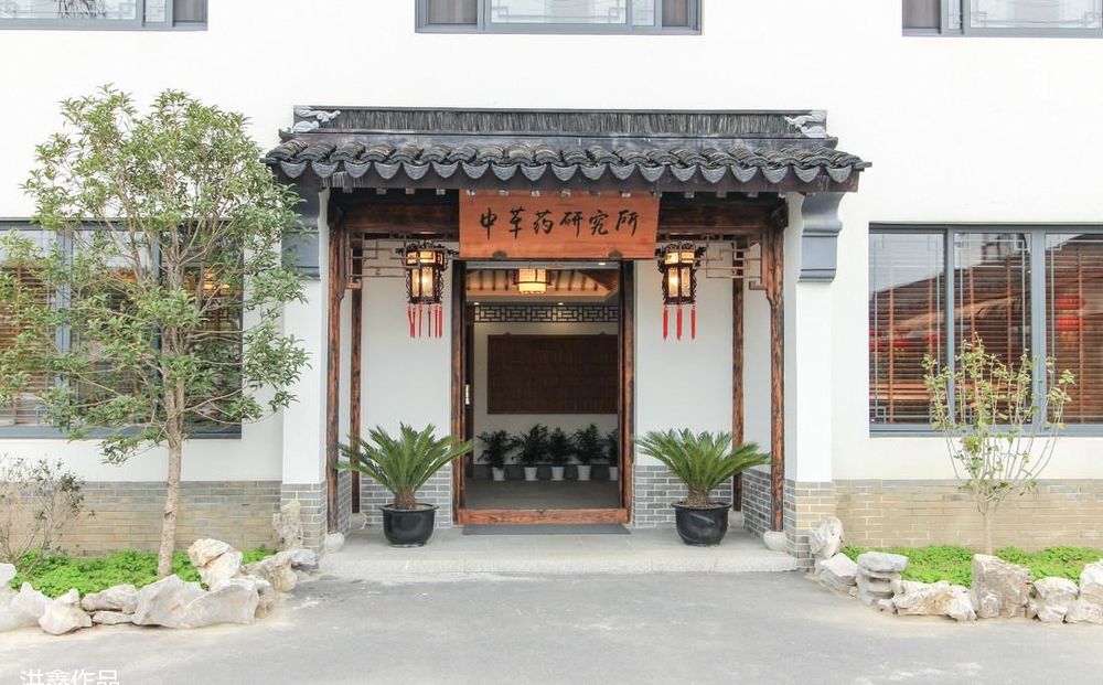 融合中草药文化的民宿设计