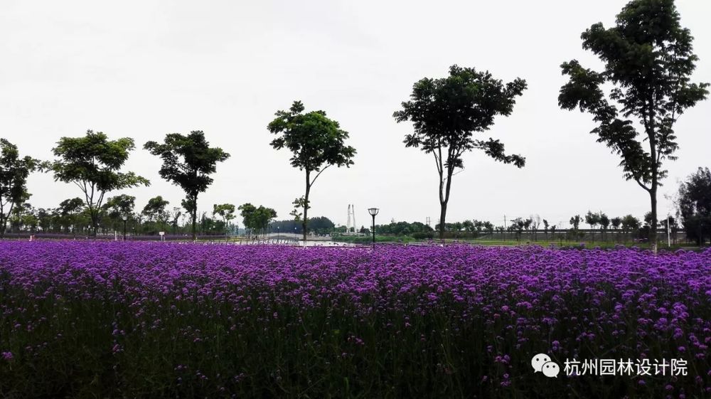乐清市中心区胜利塘河改造工程 | 生态人文的滨河公园