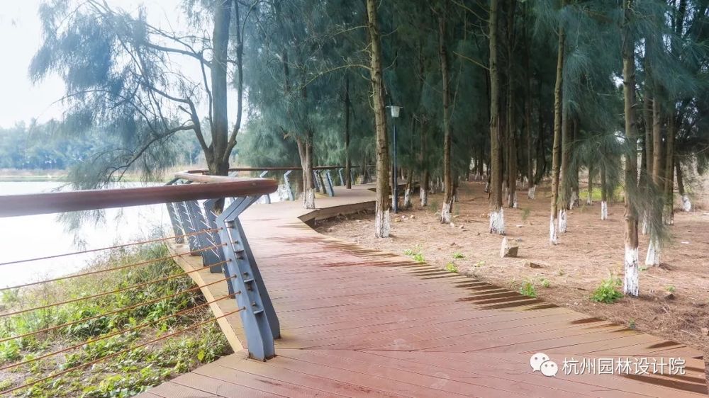 乐清市中心区胜利塘河改造工程 | 生态人文的滨河公园