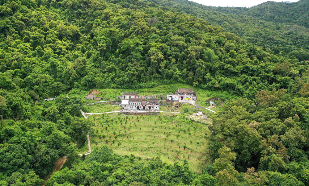 Revitalizing Mui Tsz Lam with Experimental Restorations / School of Architecture, the Chinese University of Hong Kong