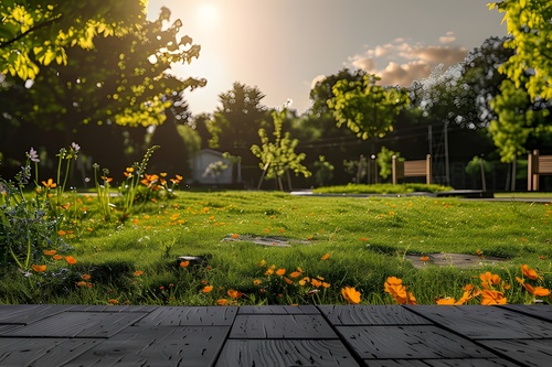 景观特写 景观场景