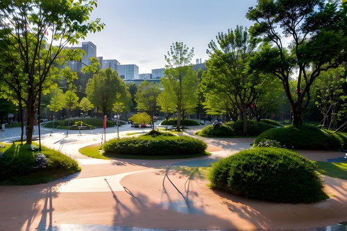 灌木丛 景观绿植