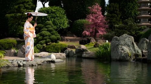 景观山水 水池 山石