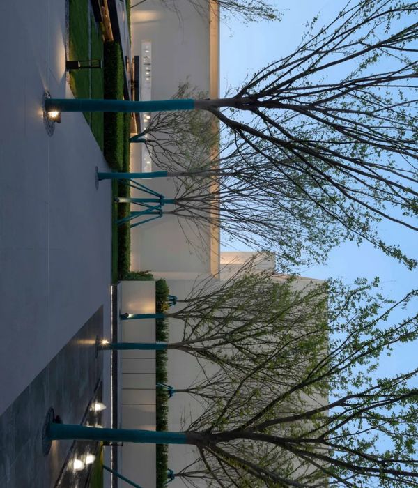 山东济宁金科集美澜湾 | 克制的序列，林泉入境