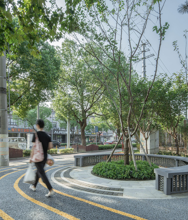 昆山振华实验小学景观改造 | 景观赋能，体验升级