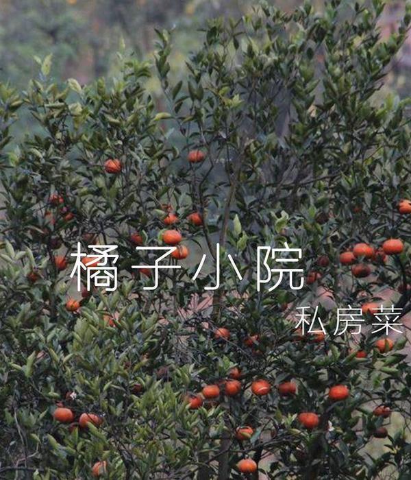 广州橘子小院湘菜馆 | 融合湖湘文化与现代设计的湘菜餐厅