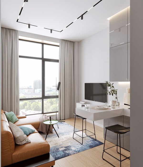 莫斯科·小户型极简艺术家 | Andrey Karasev