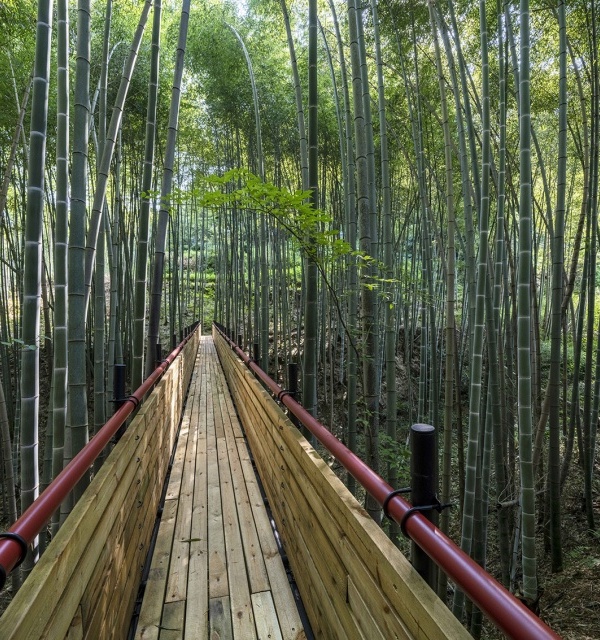 山间竹林步道，融入自然的建筑艺术