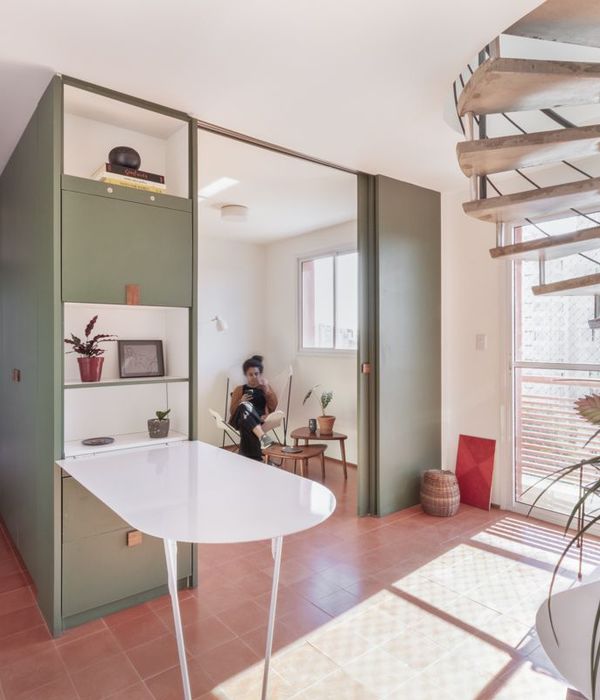 双胞胎公寓，色彩与空间的独特对话