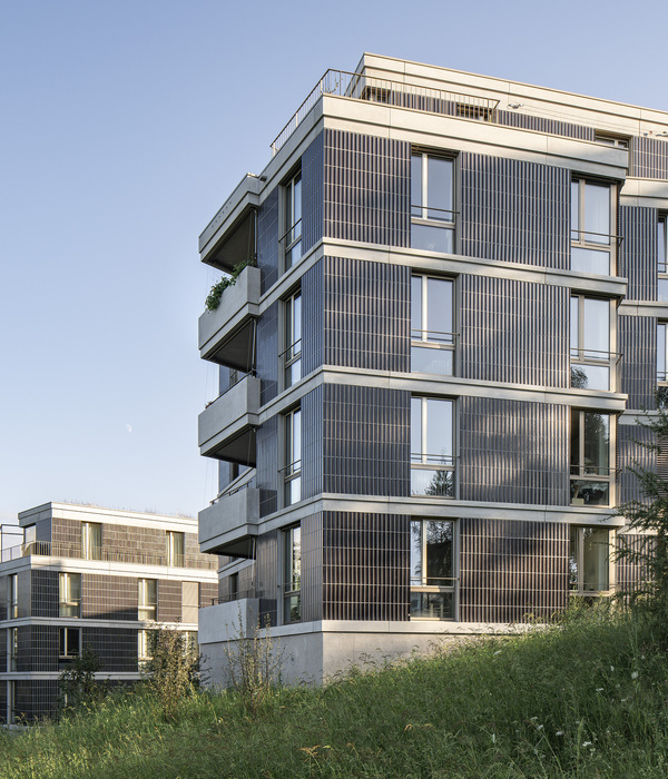 Bellariarain Zürich Apartments | 融入自然景观的现代公寓设计