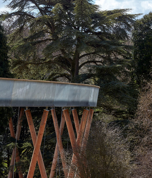 英国最长森林高架通道——westonbirt 植物园观景桥