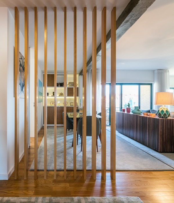 Maria José Pinto Leite丨公寓丨Oporto Apartment Refurbishment