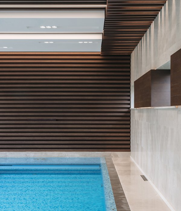 Peter Sergeev Architecture + Design丨酒店丨Guest house with private spa complex and swimming pool