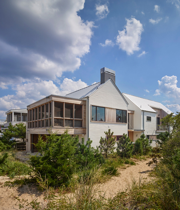 Robert Young Architects 的 Lewes Beach House - 现代简约的海滨住宅设计