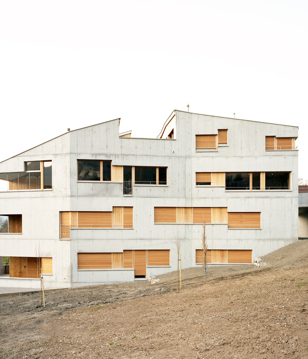 Obergass Apartments by Uli Mayer Urs Hüssy | 层叠公寓设计，自然与现代的完美融合