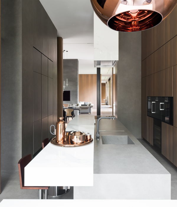 The interiors of Copper Shell House Moscow Alexandra Fedorova