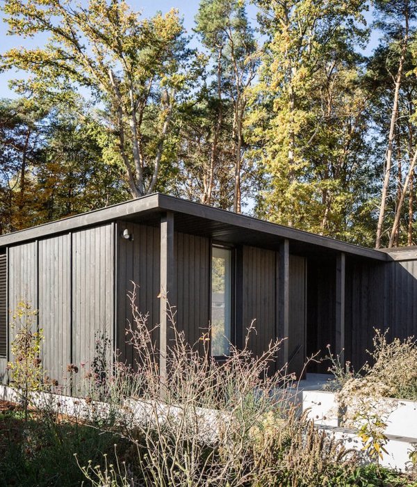 比利时森林中的"House S" | 融入自然的木质小屋