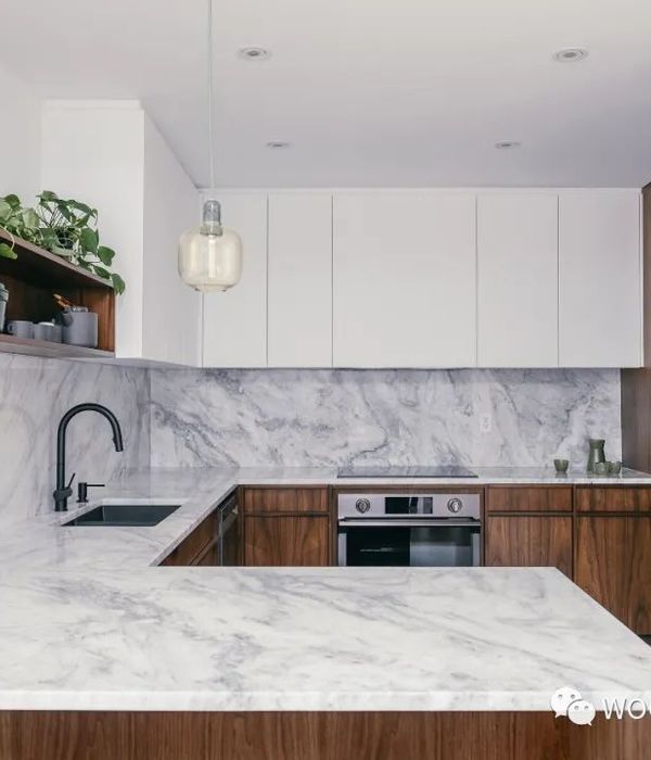 多伦多极简主义公寓，Odami 打造城市中心绿洲