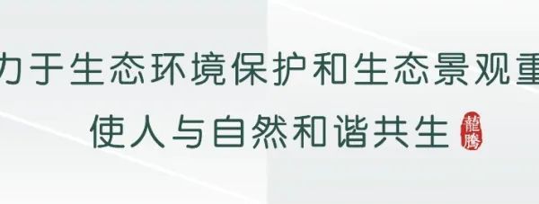 "茏腾·探秘自然——鸟类涂鸦之旅"