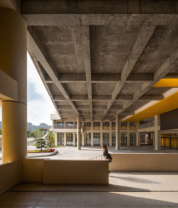 南京文齐路小学｜江苏中锐华东建筑设计研究院有限公司｜荣朝晖工作室