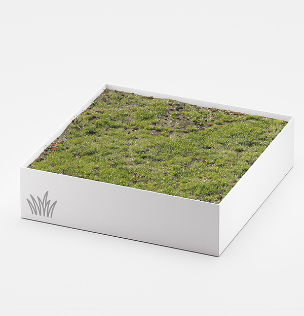 Shop: Meadow Asset for C4D