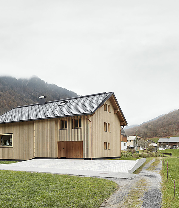 Sutter住宅，奥地利 / firm Architekten