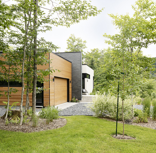 森林中的现代家园