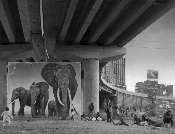 《尘土继承》——香港 Blue Lotus 画廊 Nick Brandt 摄影展