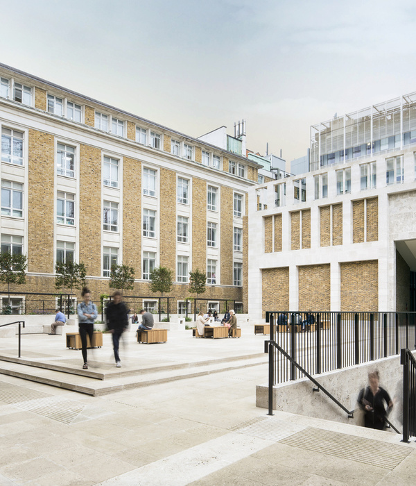 英国伦敦 UCL 校园 Wilkins Terrace 庭院设计