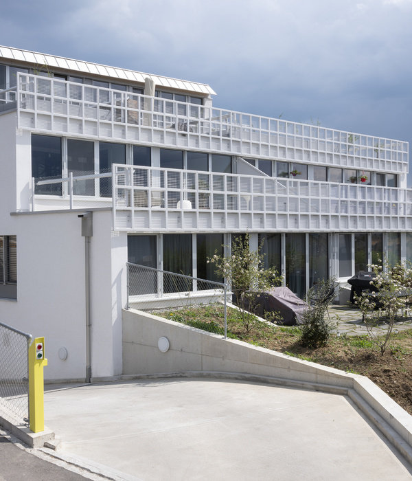 Therwil Terraced House | 现代简约乡村风