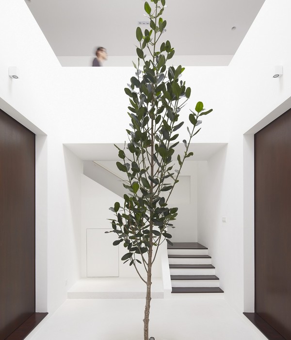 Fabian Tan Architects 的 Ittka House | 双层别墅设计翻转空间概念