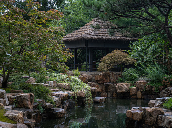 松茗园，上海 / 未相景观