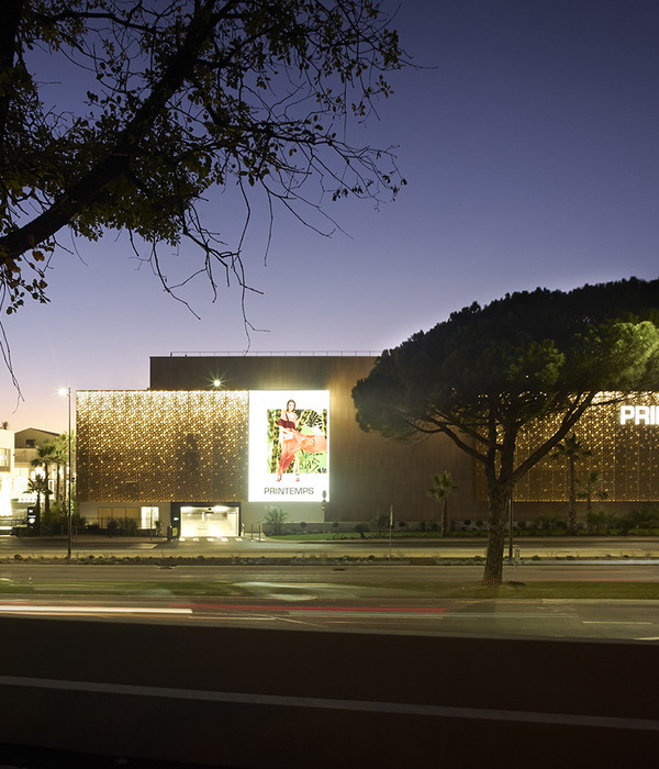 简约花形图案，打造 Printemps 地标式建筑