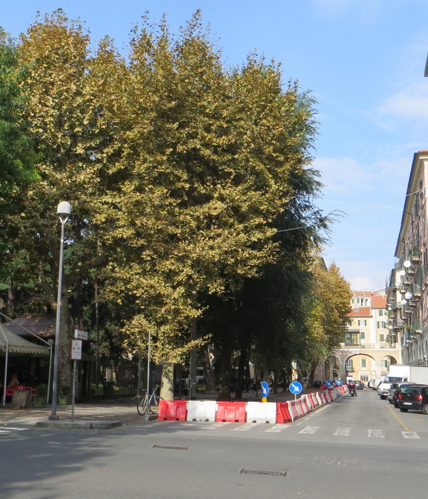 历史广场的现代重生——意大利萨沃纳 Piazza del Popolo 广场改造