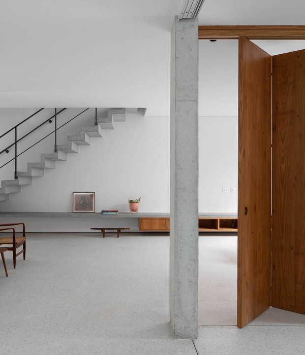 巴西 Teviot House | 折叠金属幕墙与自然光线共舞