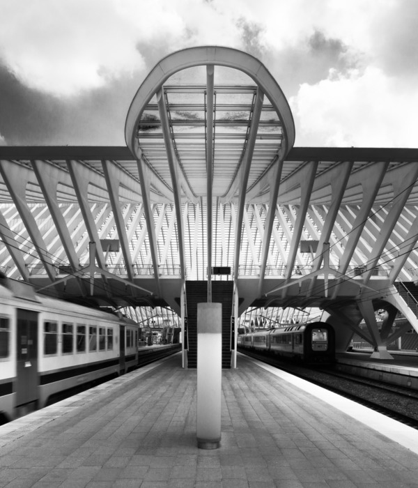 LIÈGE-GUILLEMINS STATION