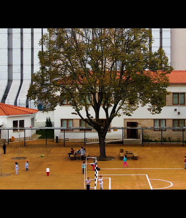 绿意盎然的中学校园 | Bom Sucesso School